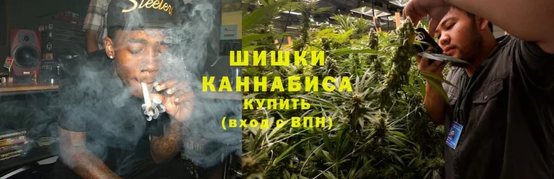 Бошки марихуана OG Kush  Георгиевск 